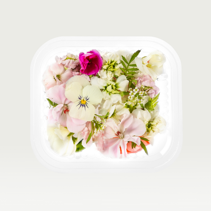 Kurutulmuş Yenilebilir Çiçek Menekşe - Cam Kavanoz - 100 Adet Çiçek