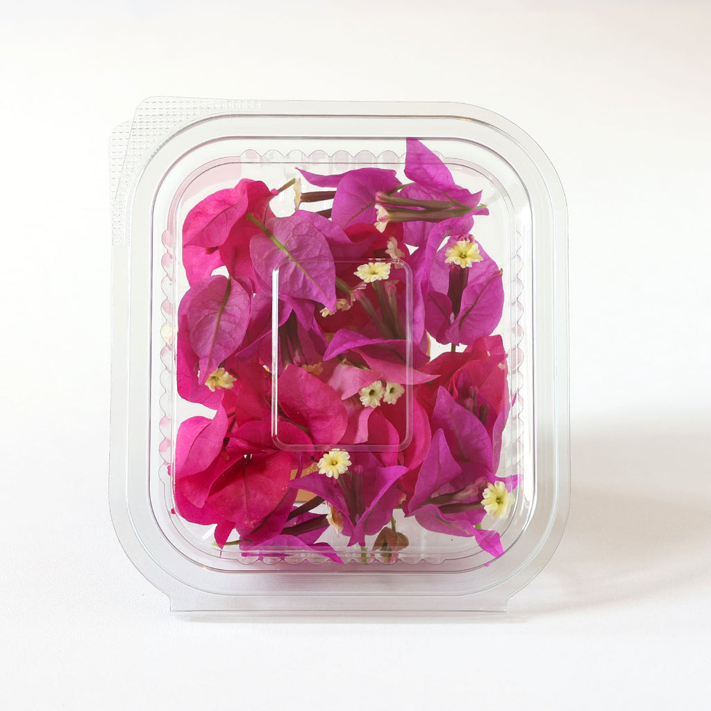 Dried Edible Flower Violet - Glass Jar - 100 Flowers