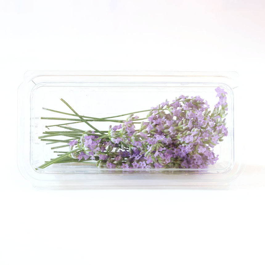 Kurutulmuş Yenilebilir Çiçek Menekşe - Cam Kavanoz - 100 Adet Çiçek