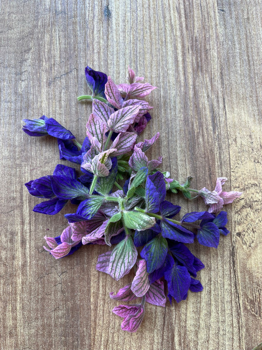 ADAÇAYI ÇİÇEĞİ