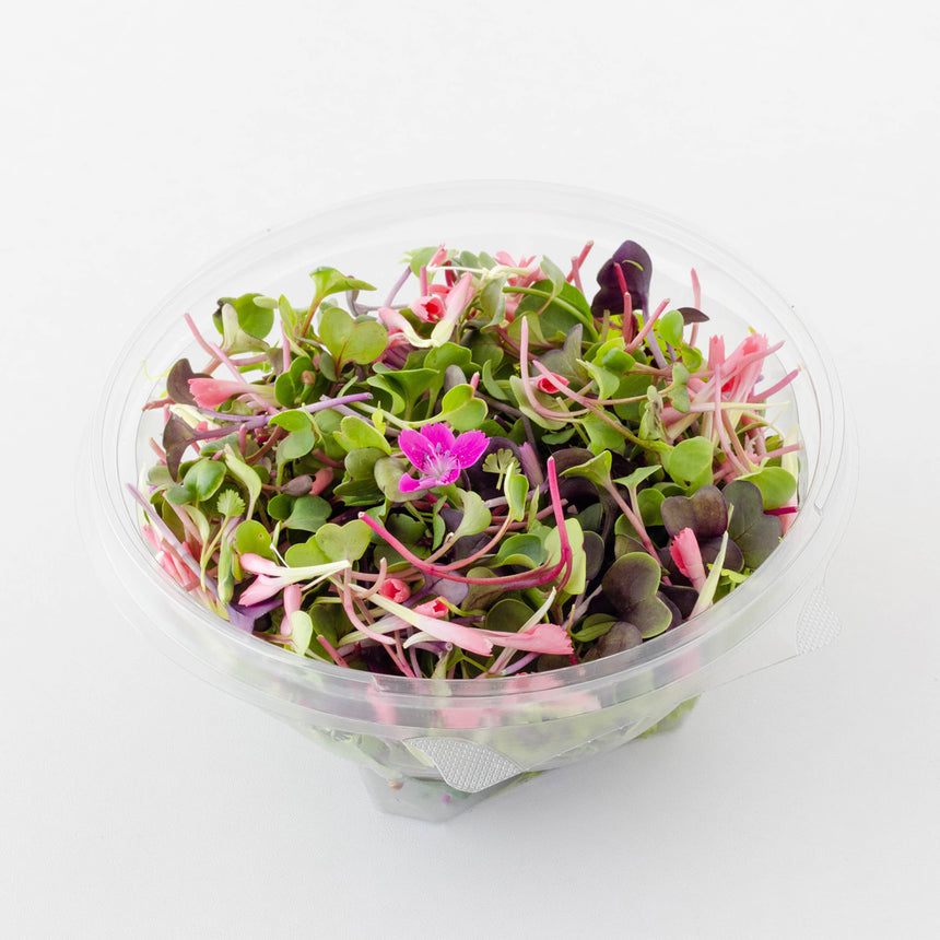 Mimix - Fit Salata