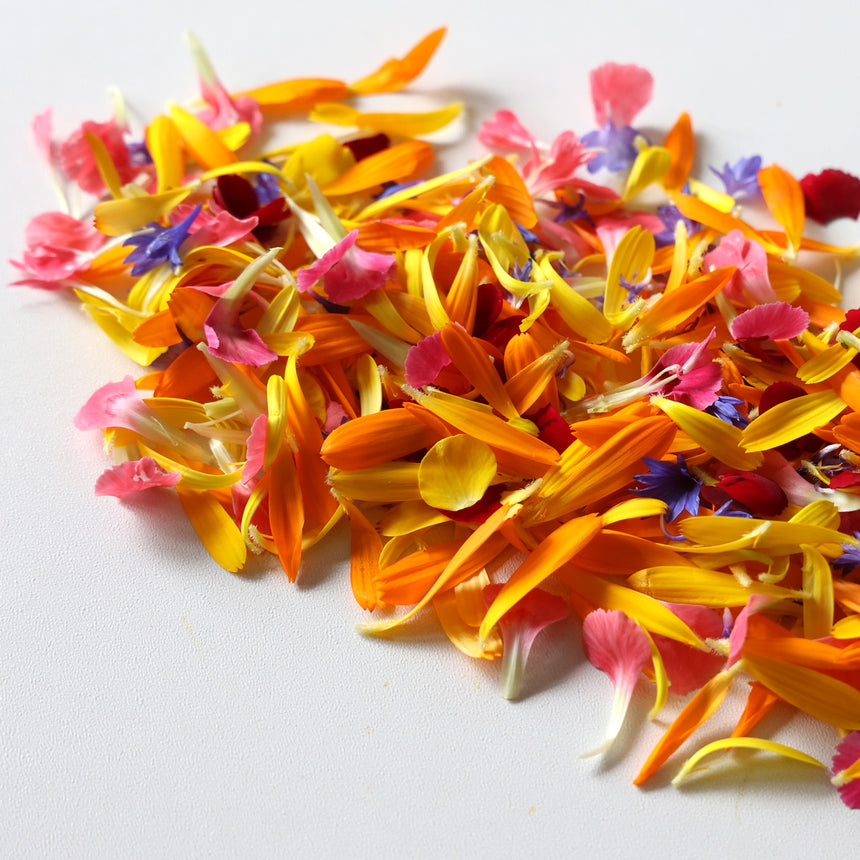 Mixed Colored Leaves Confetti