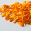 Orange Leaves Confetti
